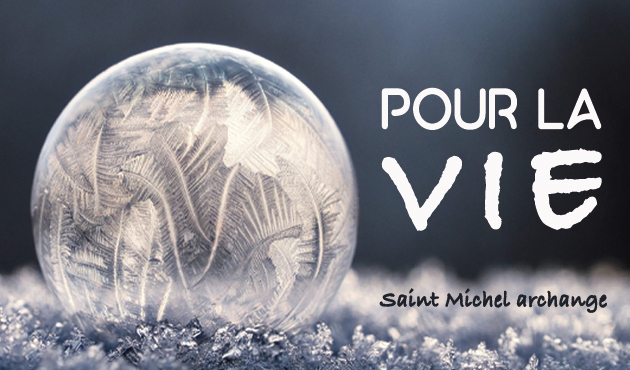 Pèlerinage pour la Vie