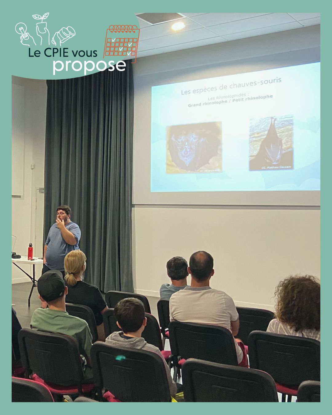 Conférence-balade : La nuit de la chauve-souris 🦇