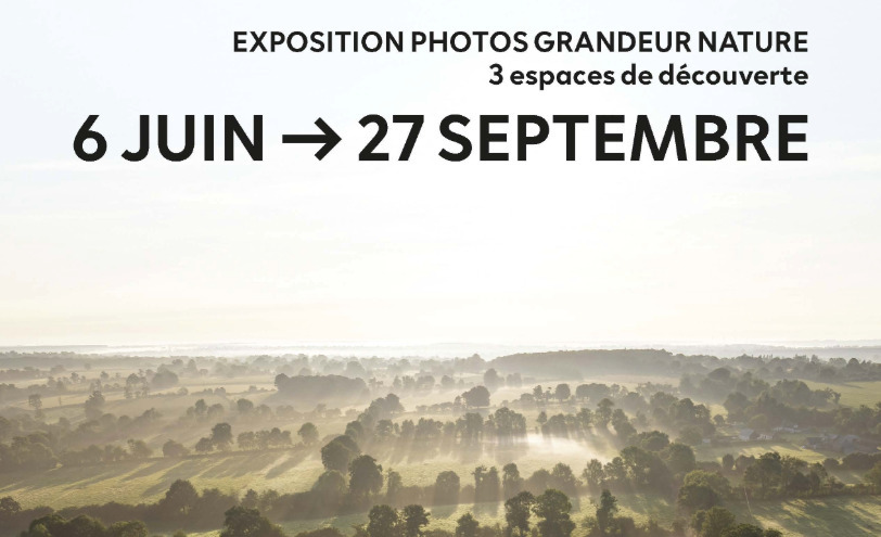 Exposition en plein air : destination Saint-Lô, l'émotion d'un instant