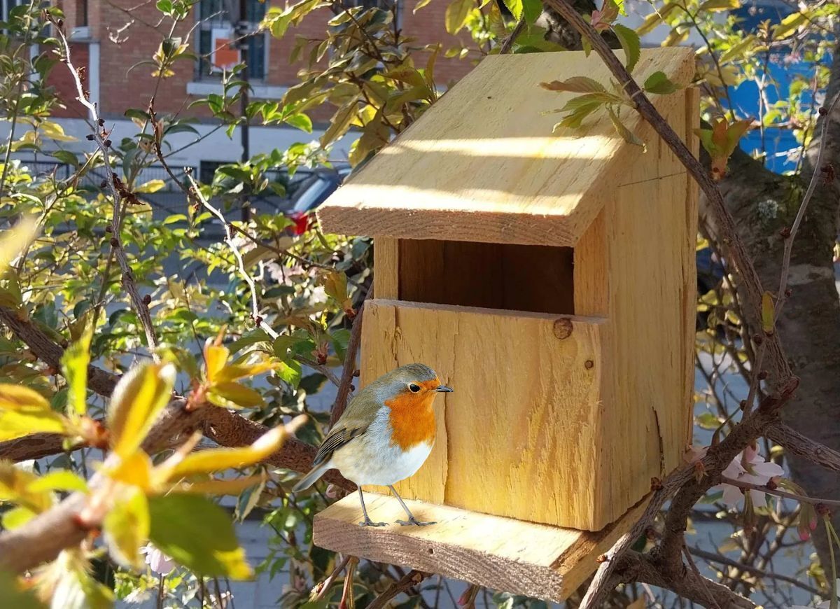 Fabriquez votre nichoir à oiseaux en duo Parent-enfant