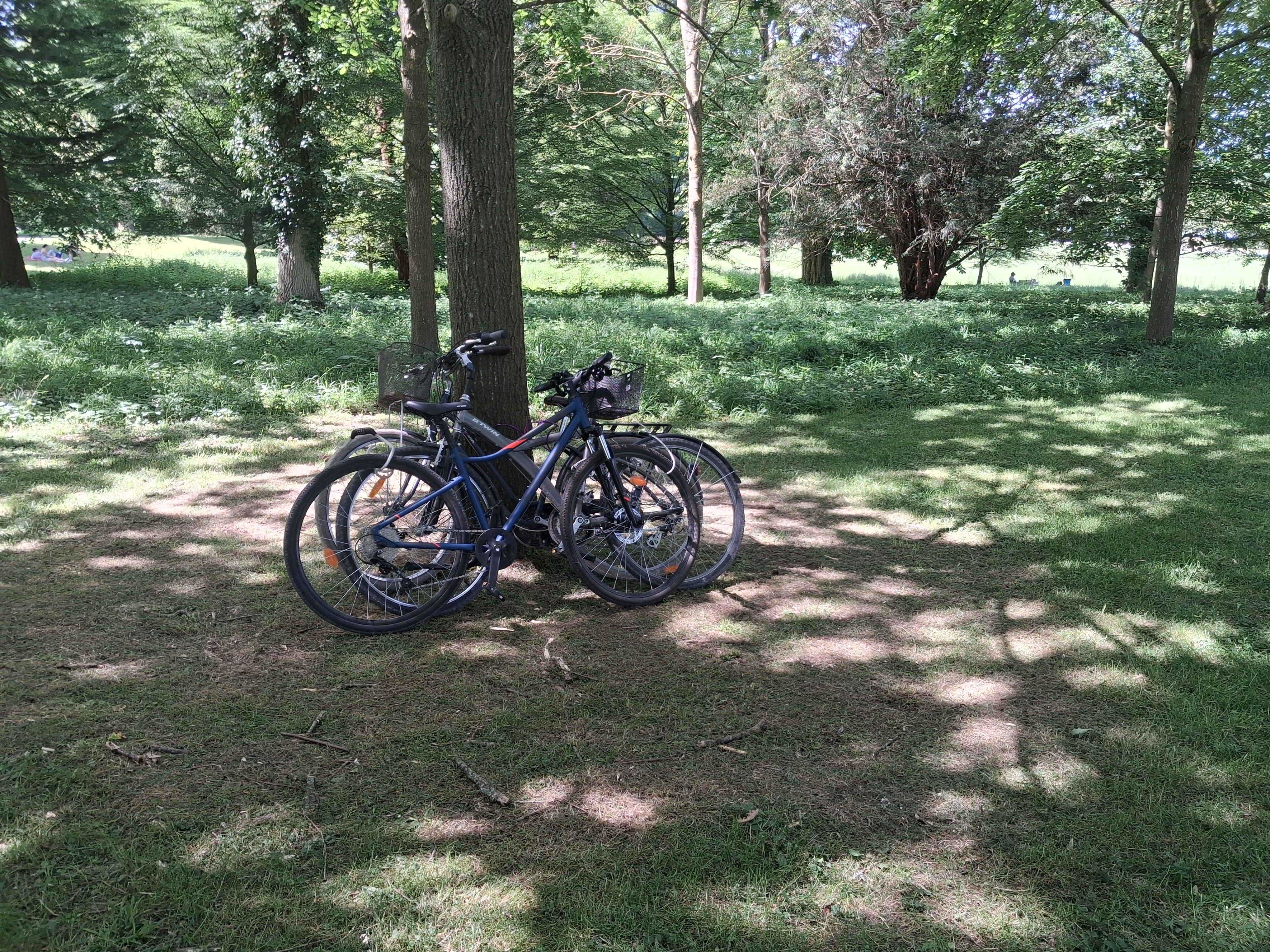 Balade à vélo - le patrimoine des bords de Marne