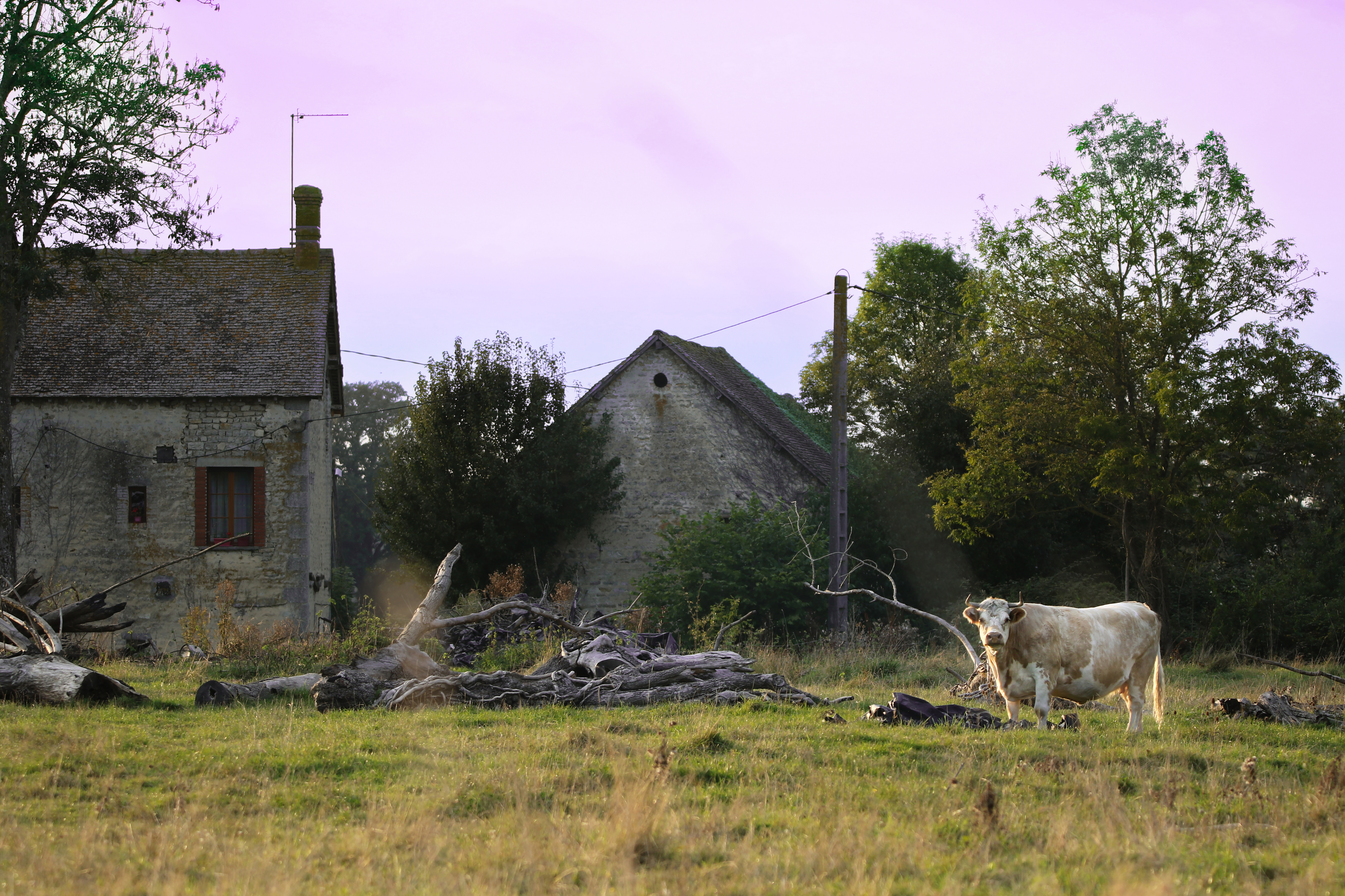 Exposition : patrimoine rural du Perche