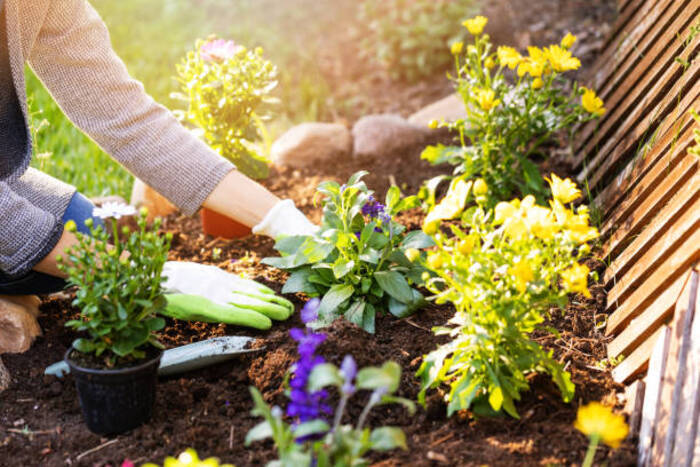 Atelier jardin