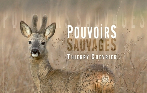 Pouvoirs sauvages, exposition photographique de Thierry Chevrier