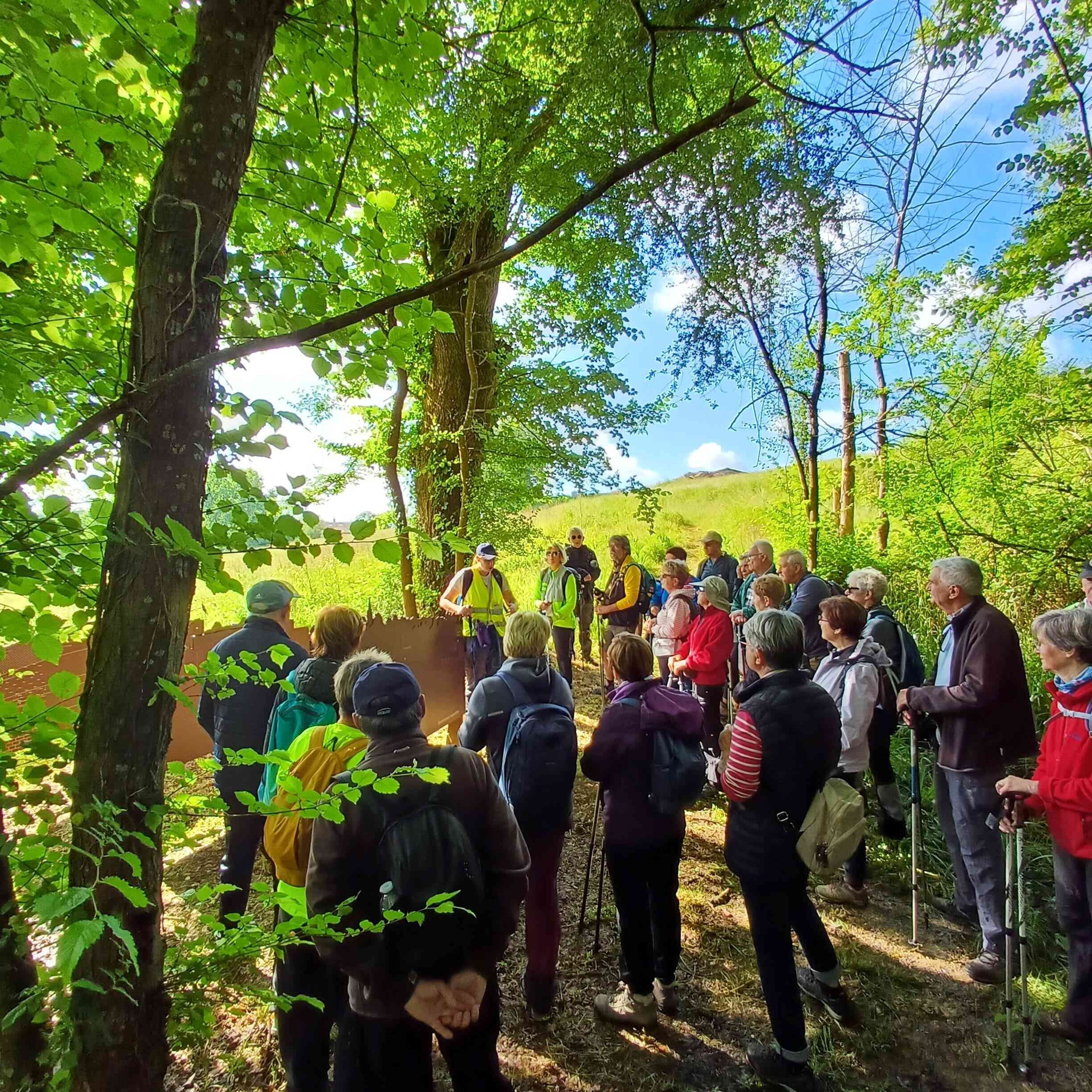 Visite du site archéologique des grottes du Pape - En randonnée via le sentier des grottes