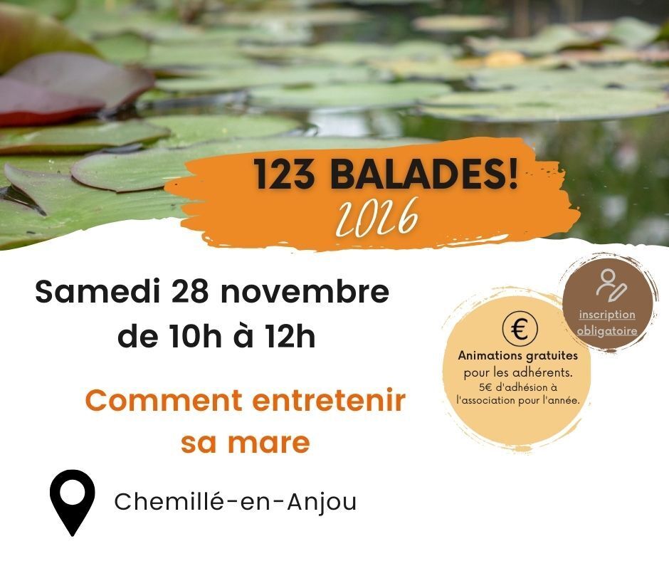 Comment entretenir sa mare