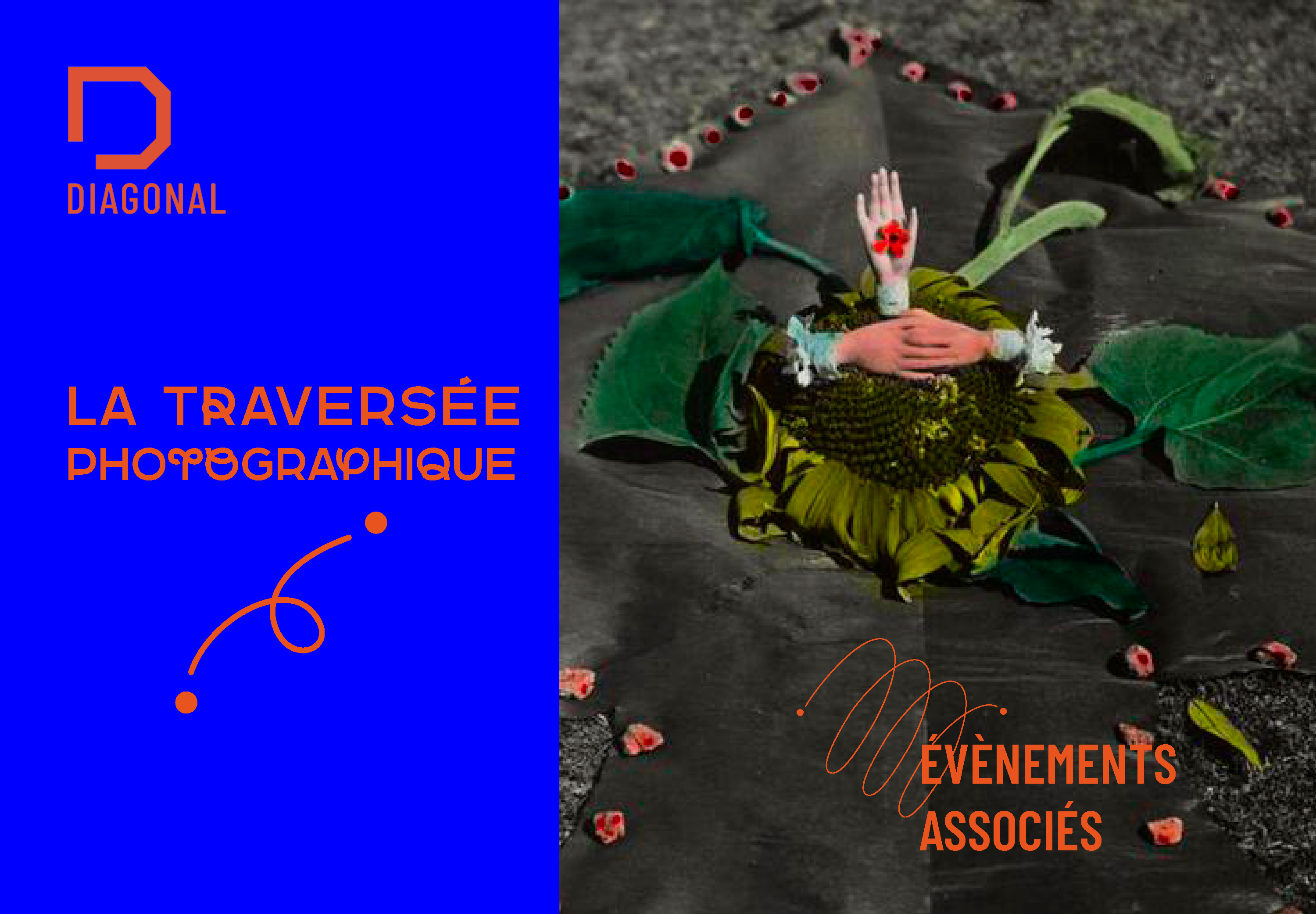 Festin photo / La Traversée Photographique