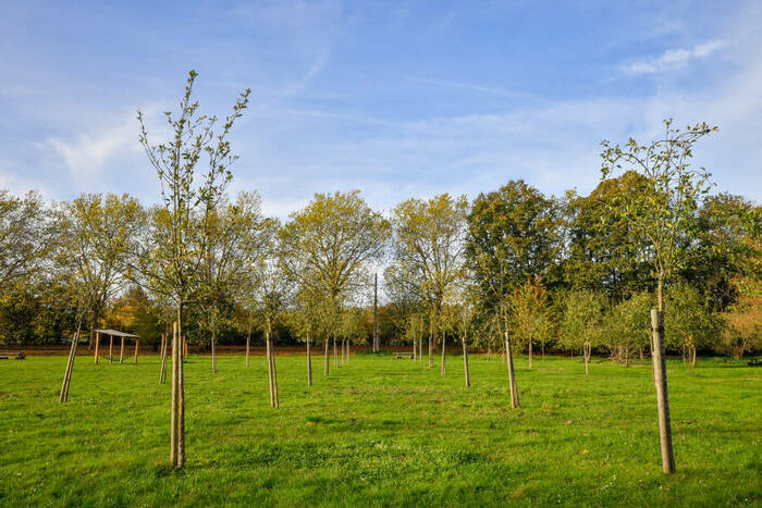 Atelier taille des arbres tiges Du 25 janv au 22 fév 2025