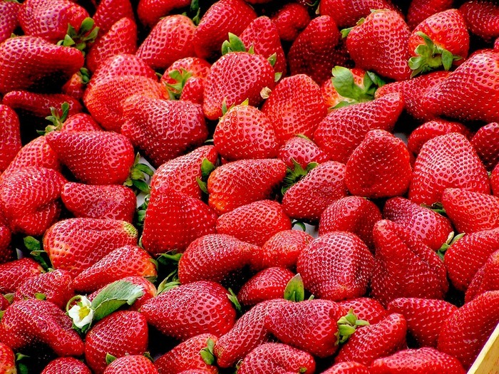 Marché de Fleury-les-Aubrais - Dimanche