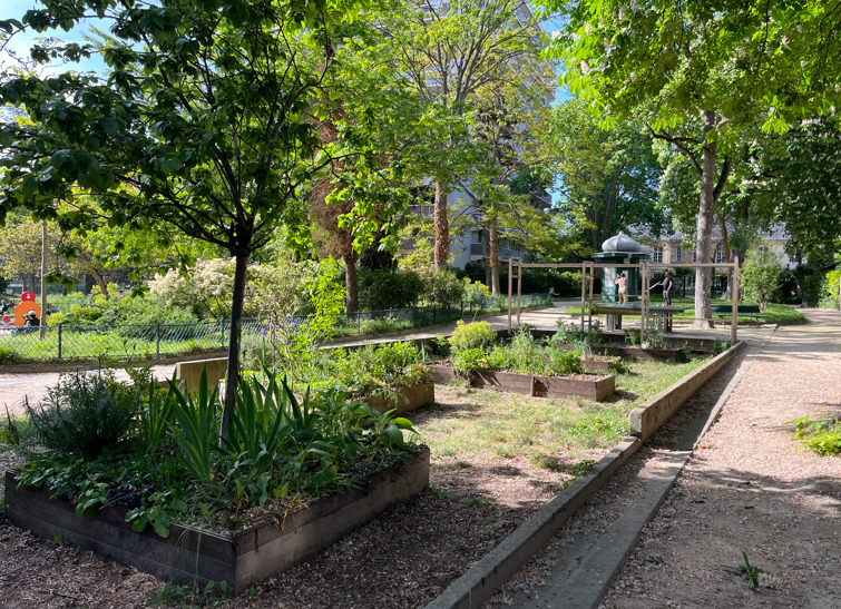Ateliers de jardinage avec l'association de Culture(s) en Herbe(s)