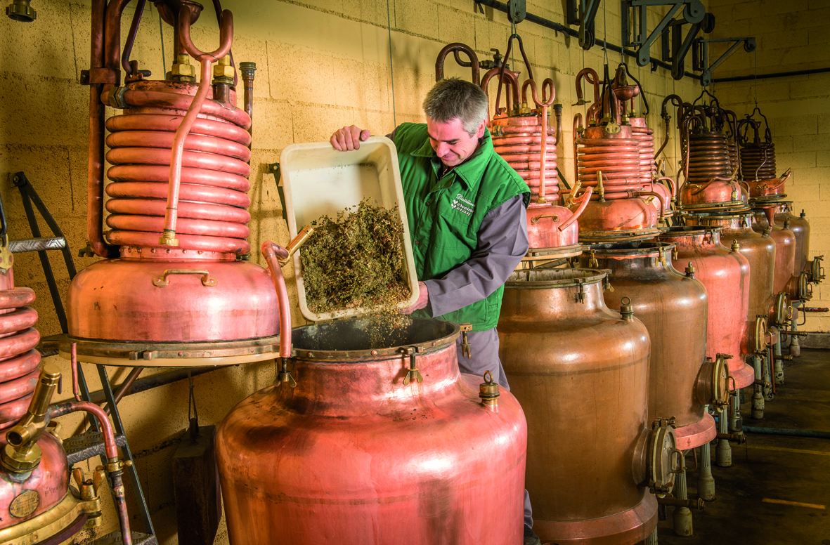 Visite guidée de la Distillerie - Verveine du Velay Pagès