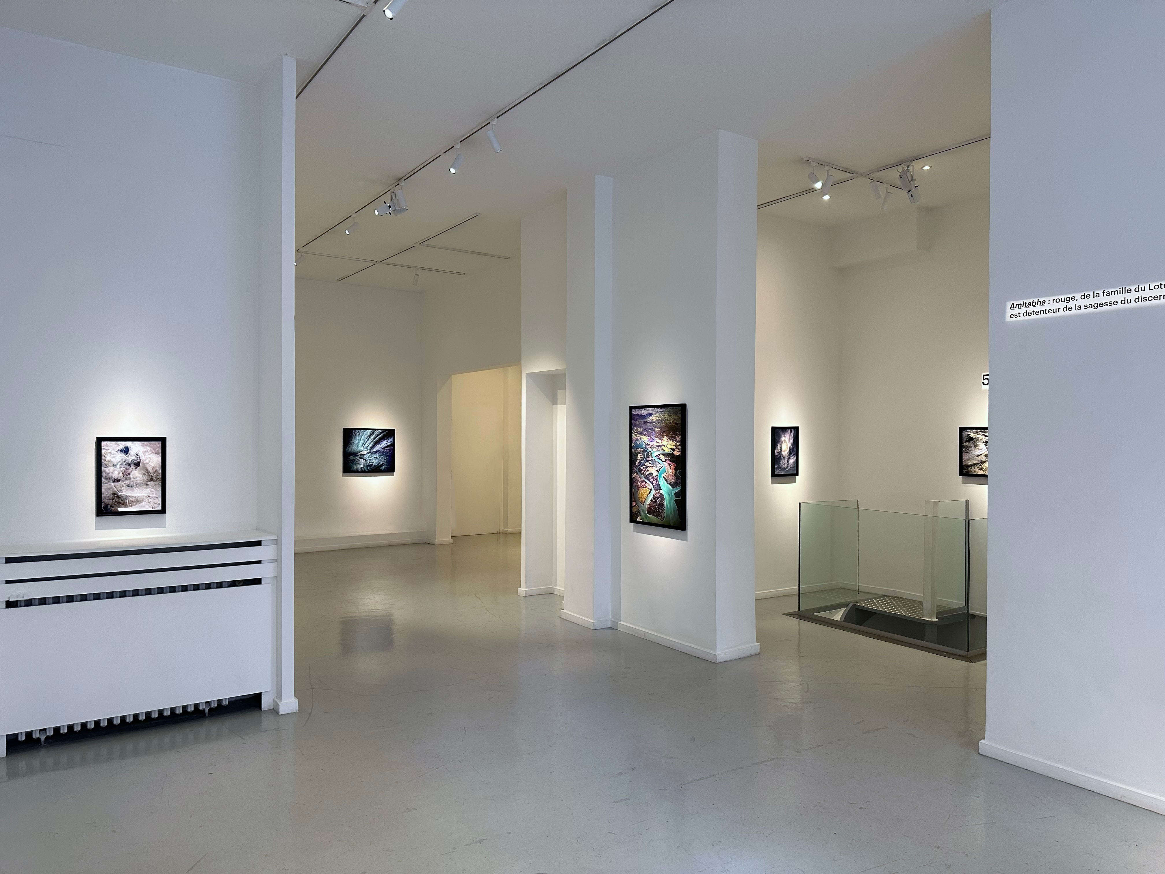 Exposition de Matthieu Ricard, Vol commercial - Galerie Françoise Livinec