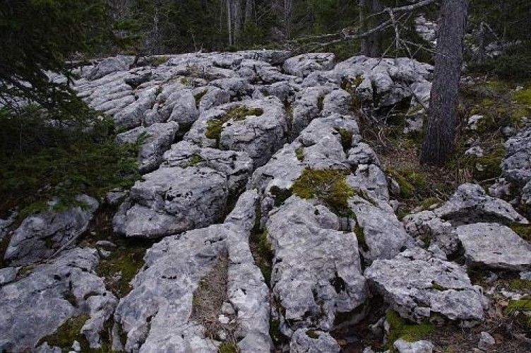 Explorateurs du Vercors : une aventure géologique