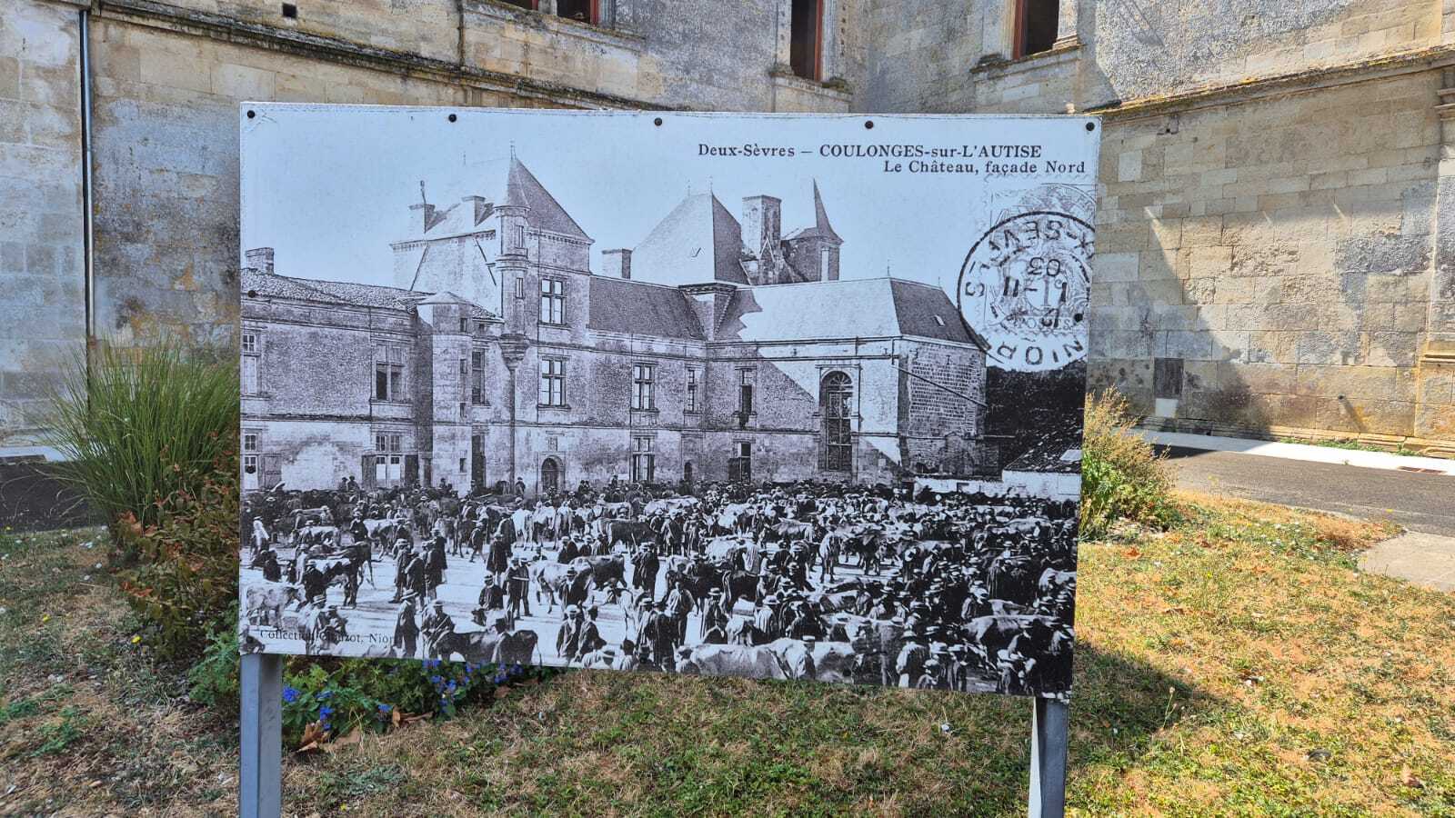 Balade d'antan : cartes postales anciennes au fil des rues