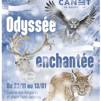 Odyssée enchantée - Théâtre d’improvisation