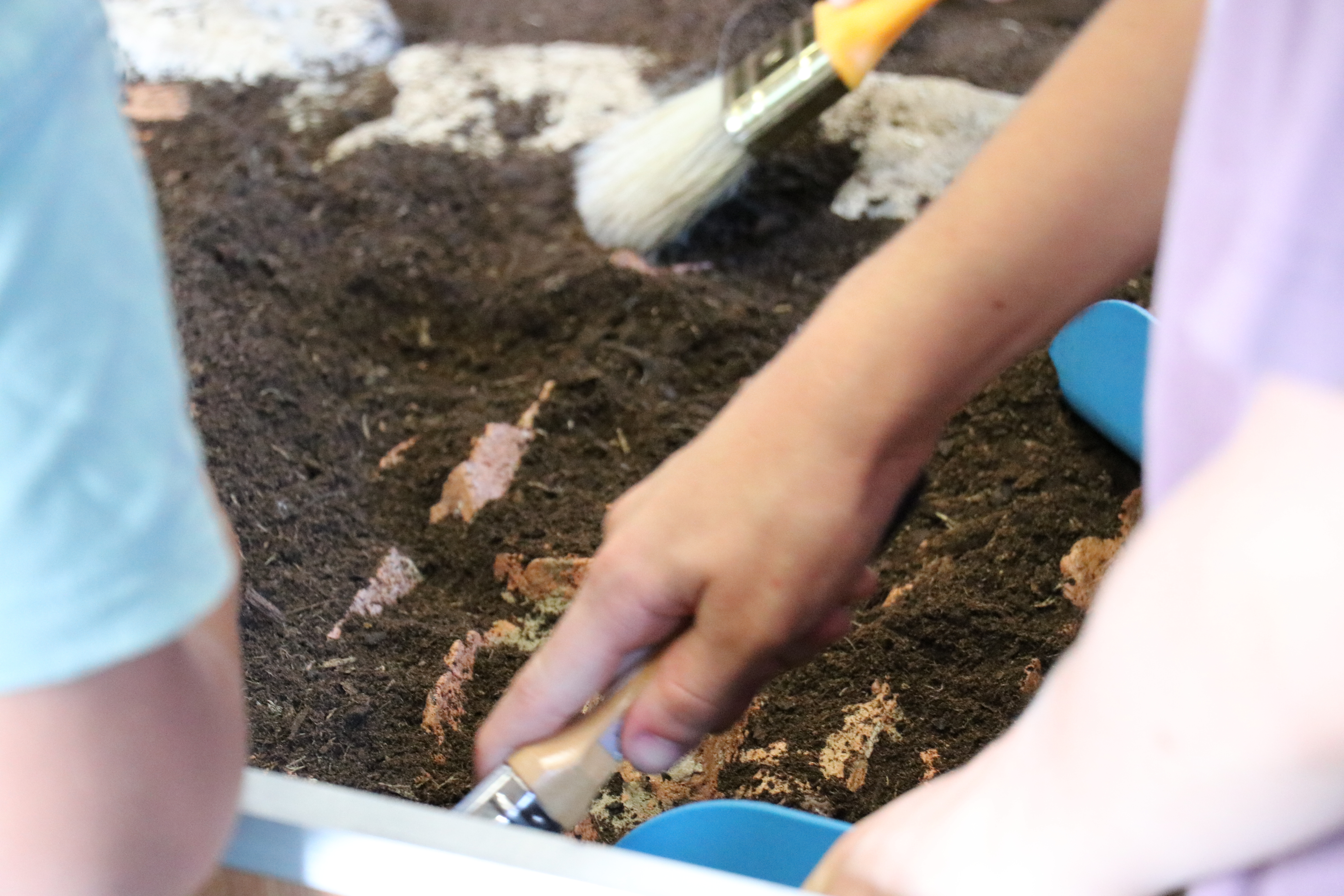 Atelier Fouiller comme un archéologue / 4-6 ans