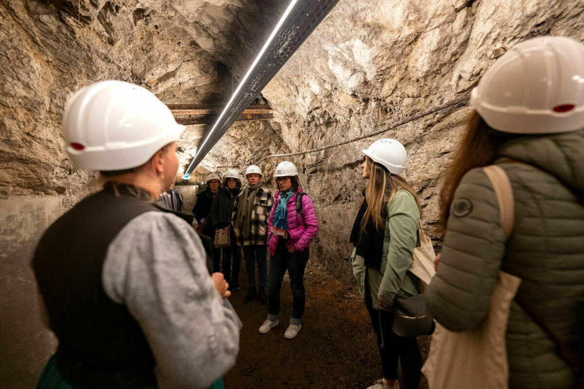 Visite guidée de l'abri antiaérien Nézin - Albert Perriol