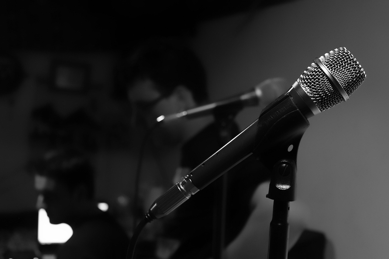 Variété française en acoustique sur grand écran