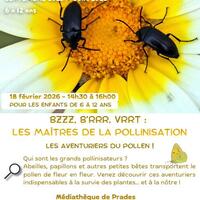 Naturet en Têt - Bzzz, B'rrr, Vrrt - les maîtres de la pollinisation