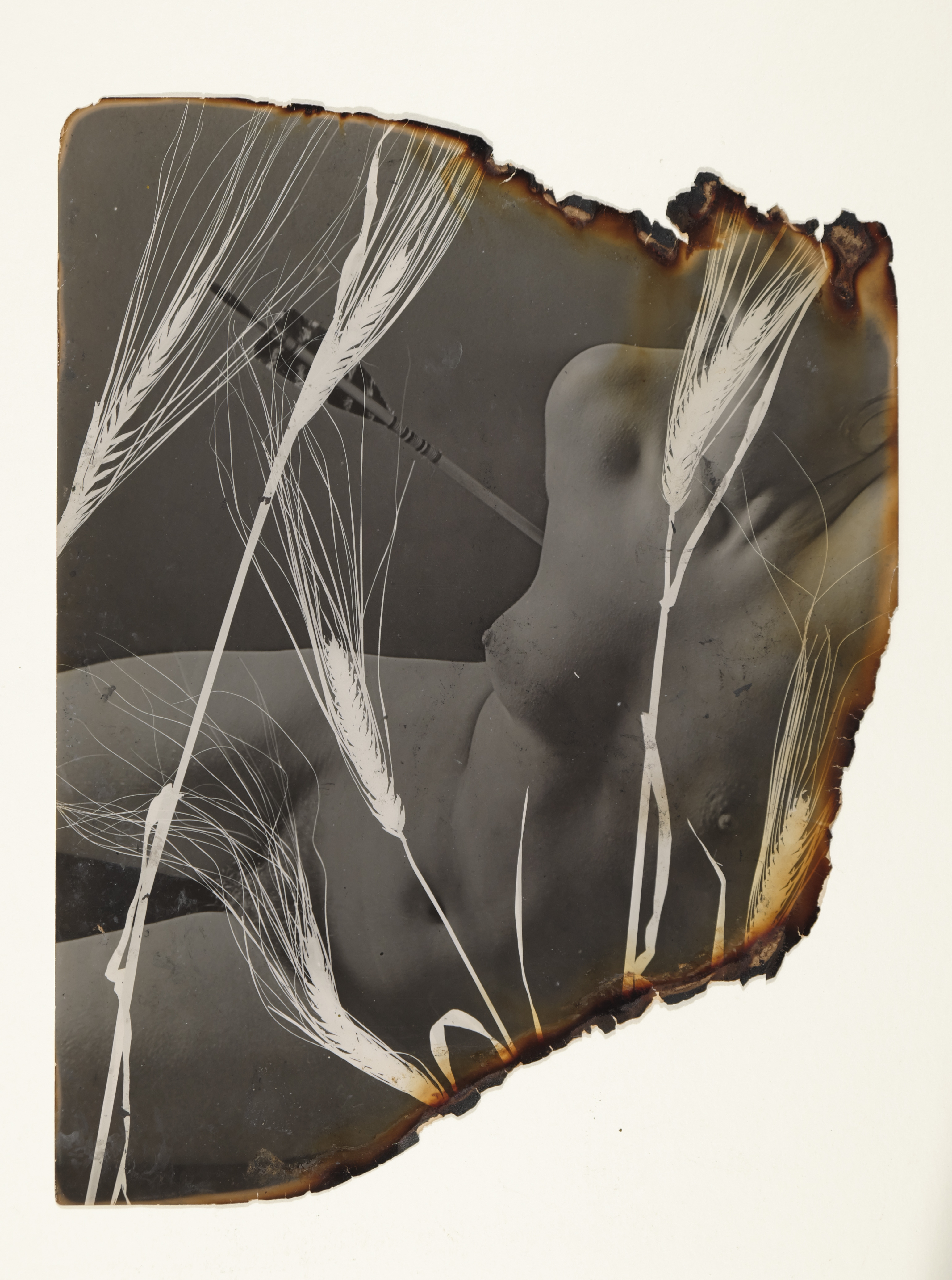 Exposition de Pierre Jahan, A Retrospective - Galerie Jean-François Cazeau
