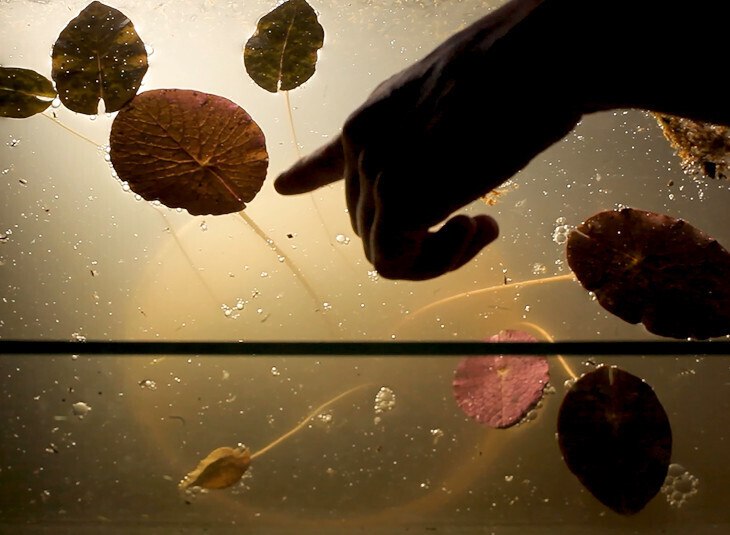 Festival Cinespaña : Yrupe