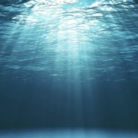 Visite de la Goelette Miguel Caldentey