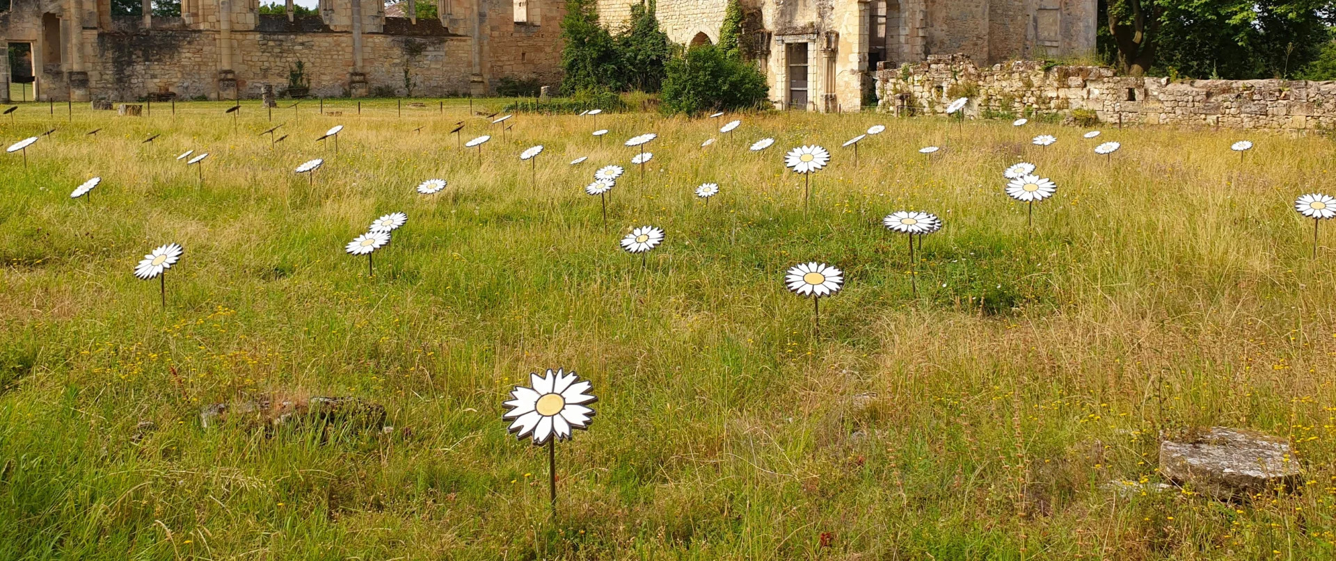Floraison majeure