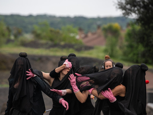 Le lichen prend racine comme Rosa prend le bus