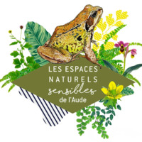 Ens - Au sommet de la montagne noire