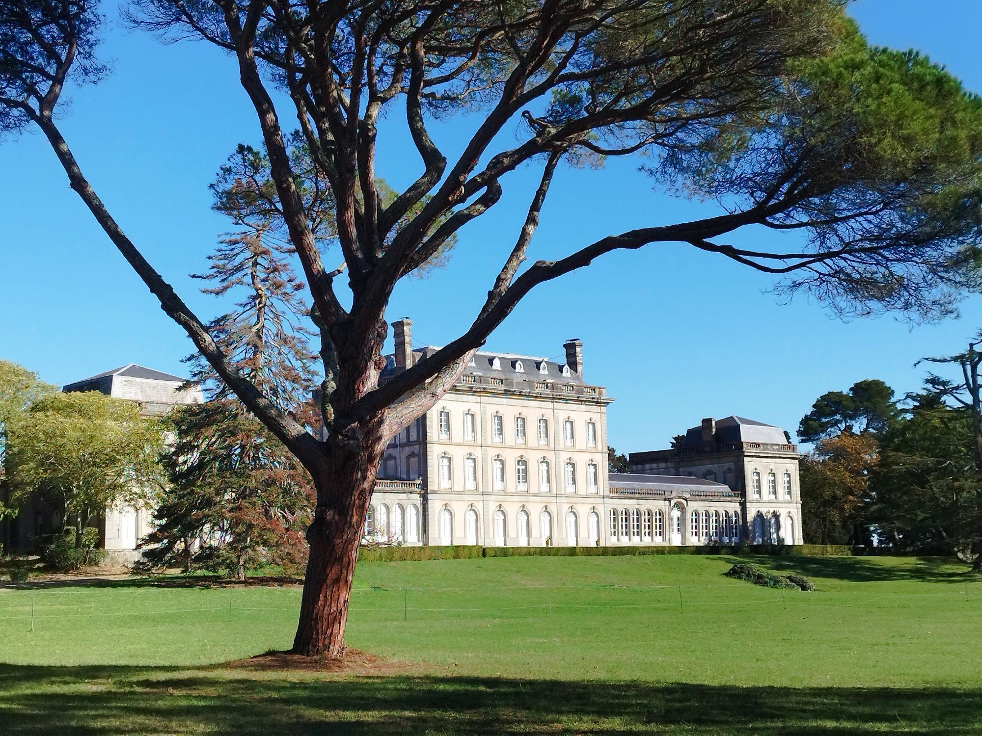 Chasse au Trésor au château de Pech Redon