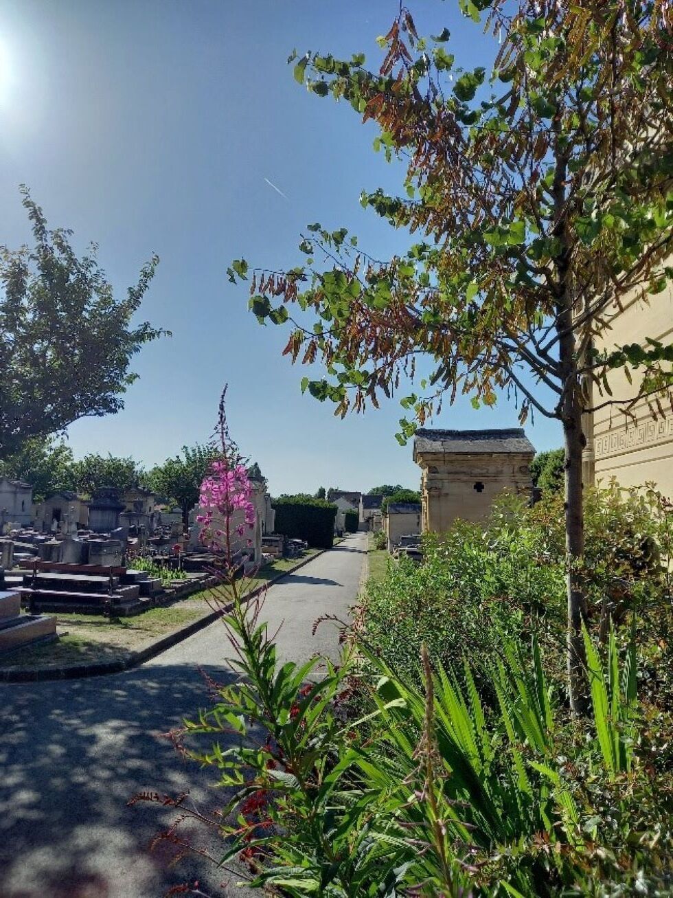 Visite guidée du cimetière ancien