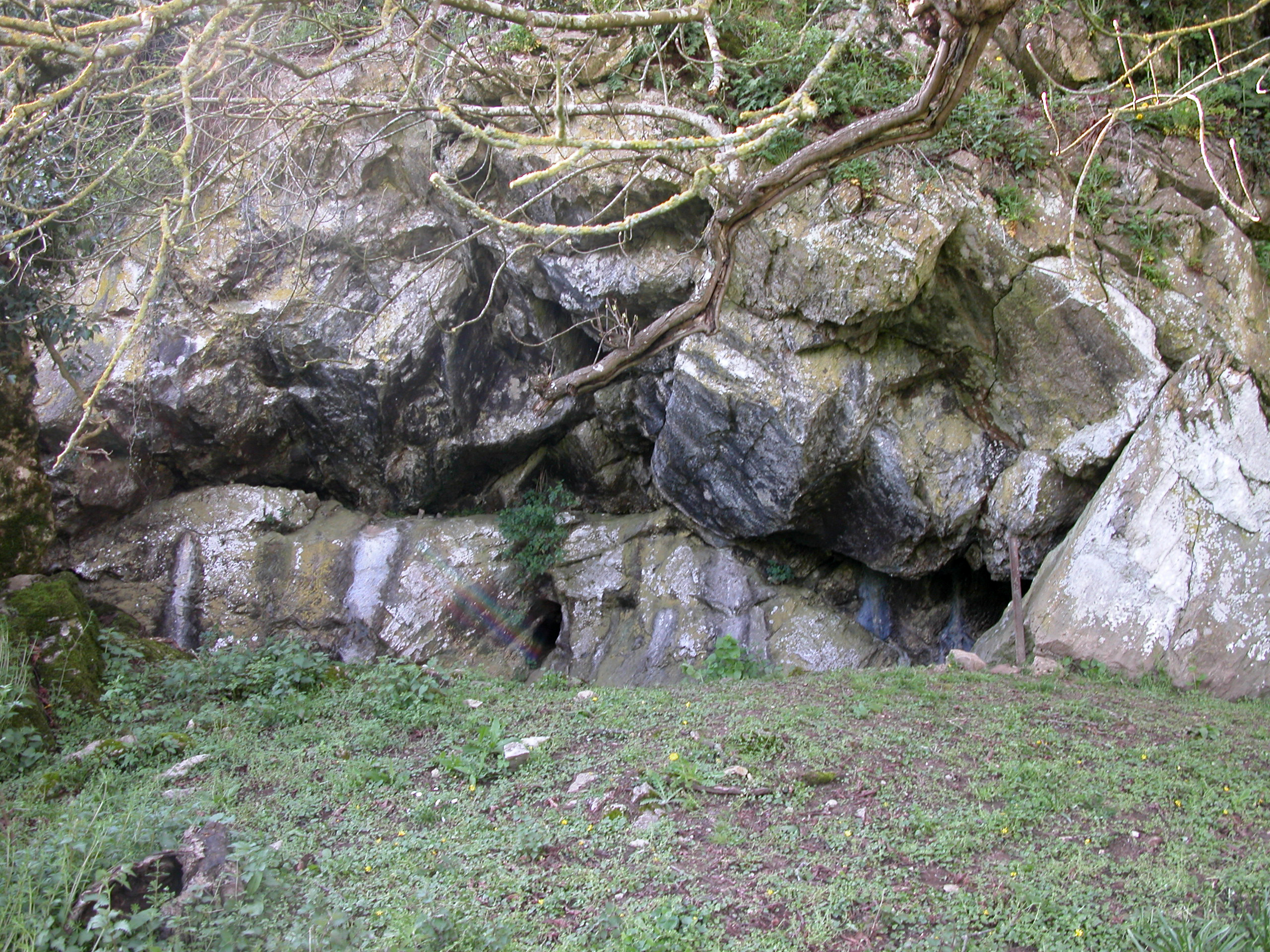 LA GROTTE DE LA ROCHE, UN PATRIMOINE PRÉHISTORIQUE A PRÉSERVER