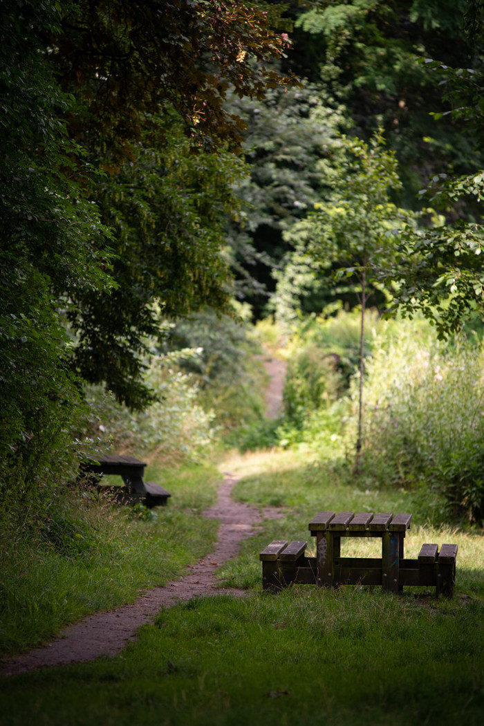 Paysages sonores urbains et biodiversité