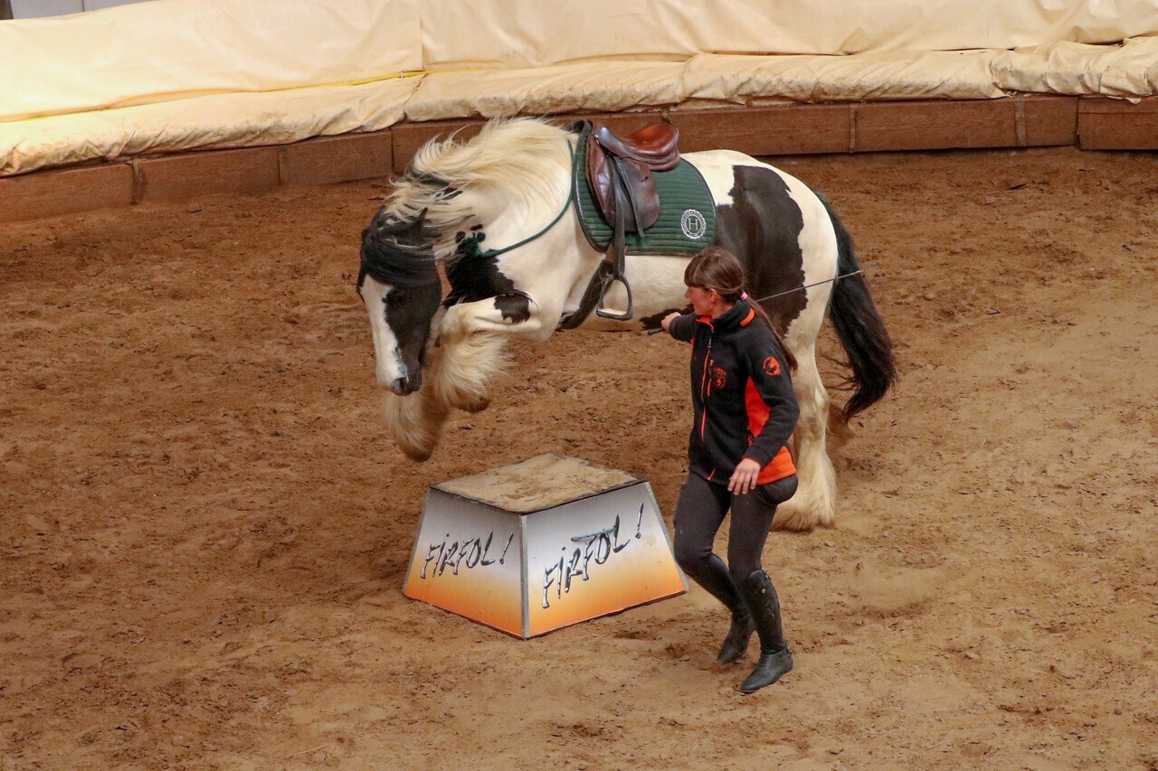 Portes ouvertes et démonstration à Firfol, lieu de tournage de la série ‘’Au galop’’