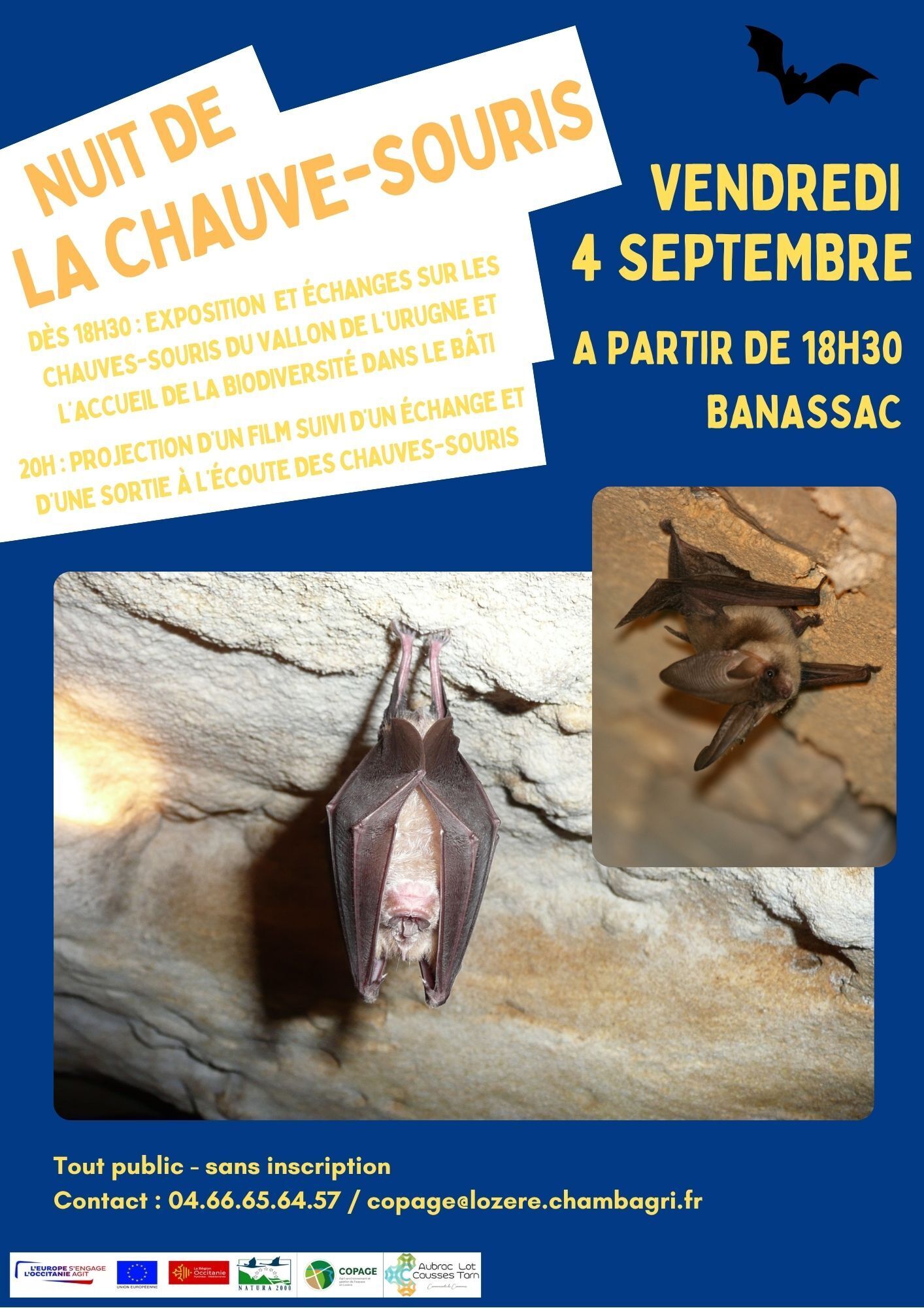 Nuit de la chauve souris
