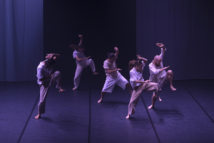 CHRISTINE HASSID PROJECT : "CHoPIN"