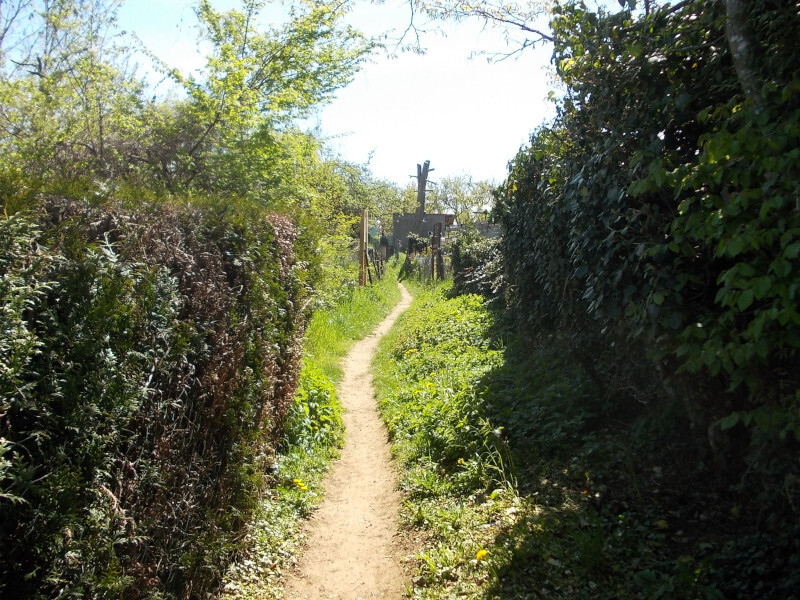 Balade Nature