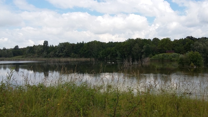 Un après-midi au cœur de la Réserve naturelle régionale du Grand-Voyeux