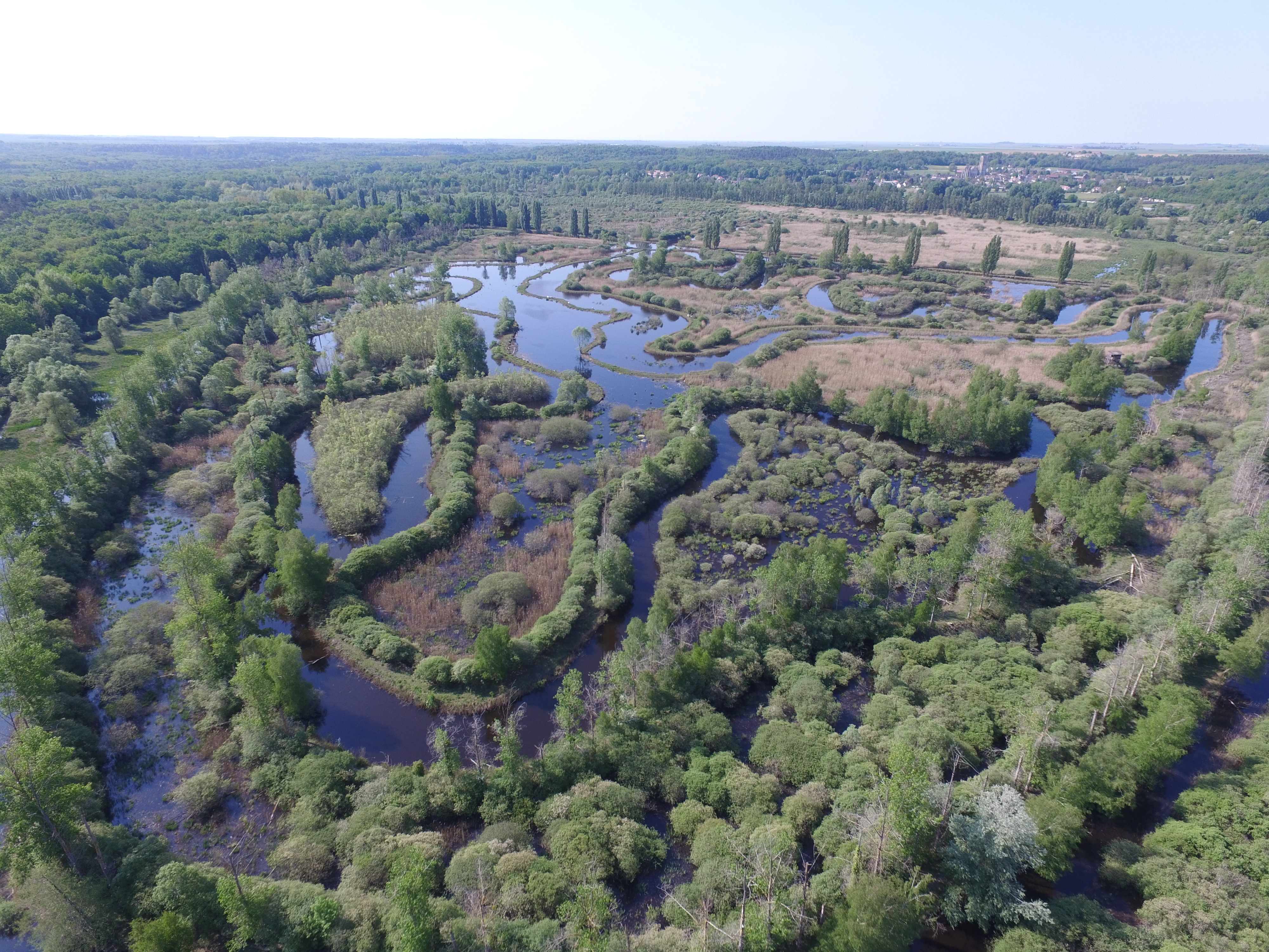 Visite au Marais