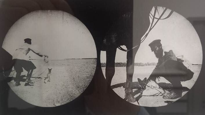 Colloque sur la conservation-restauration des photographies