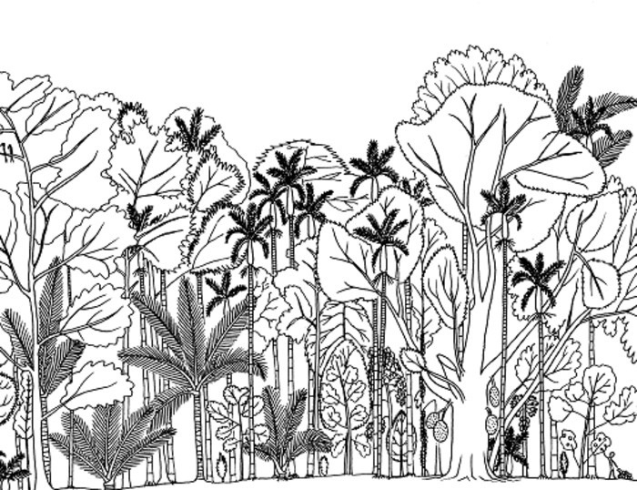 Exposition de dessins "Arbres d'ici et d'ailleurs" de Francis Hallé à l'Arboretum Cimetière parc