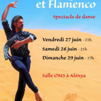 Spectacle de Flamenco "Des airs espagnols et flamenco"