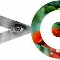 Festival Hors Cadre - Expo "les fleurs du mal"