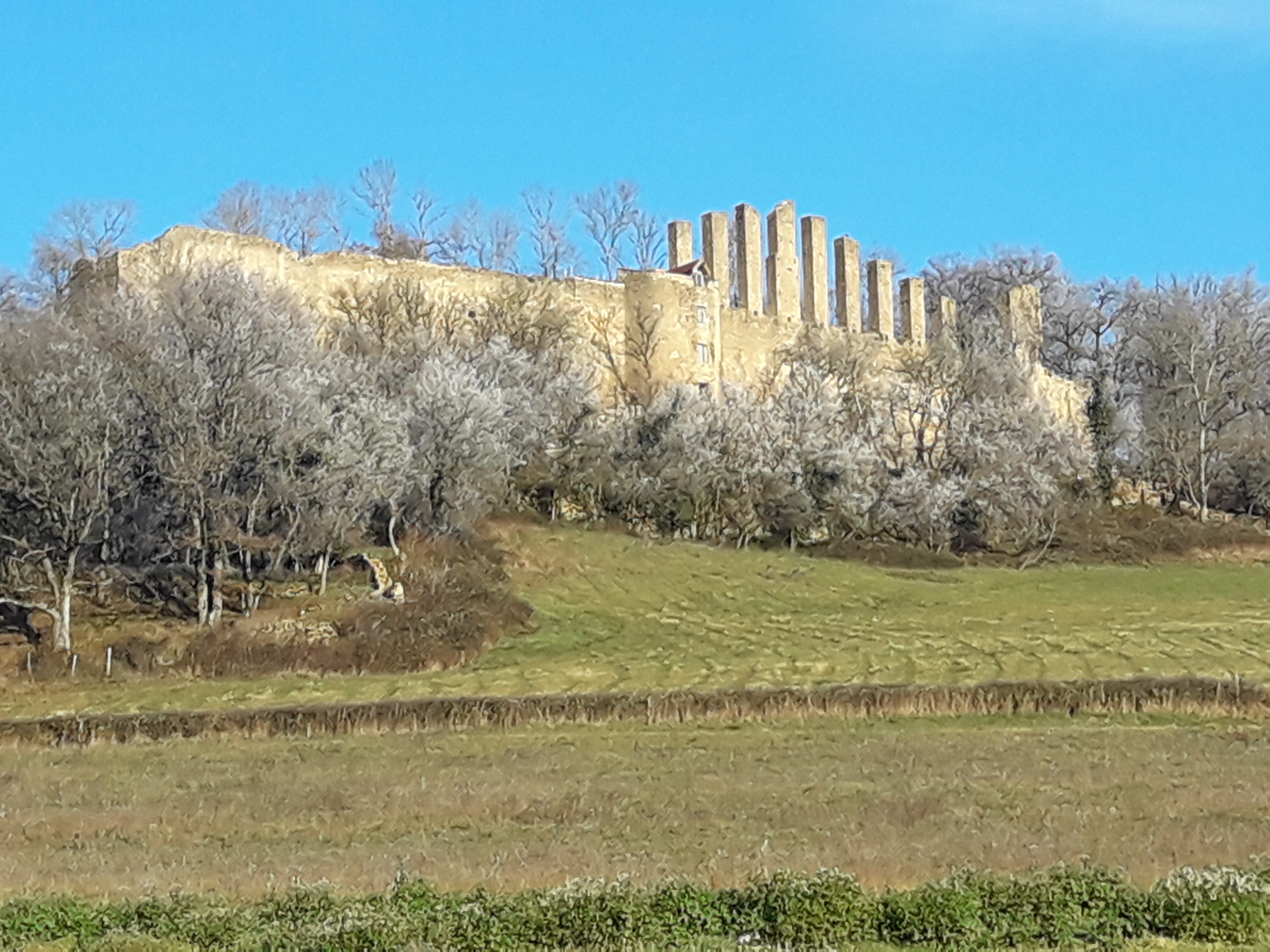 visite guidée château de Lourdon