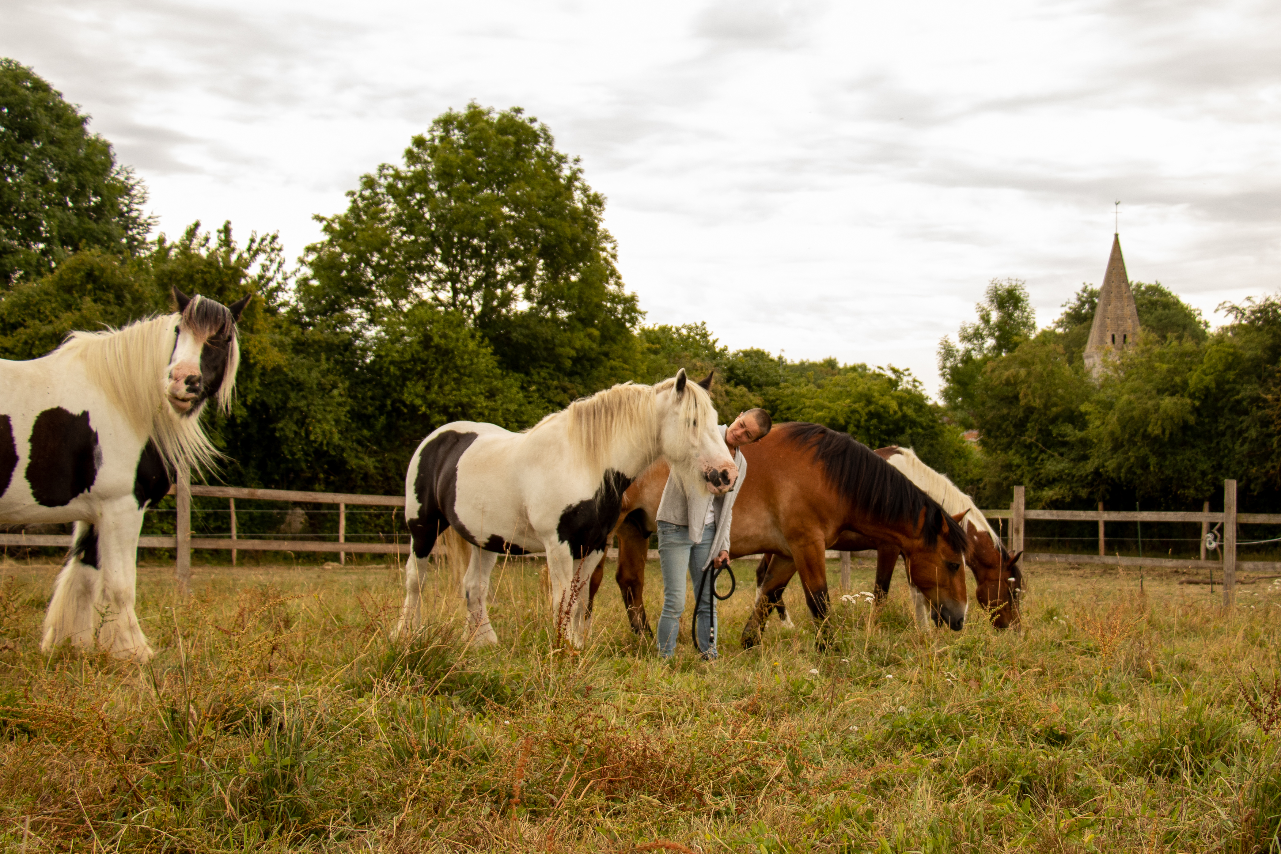Portes ouvertes des écuries Arion coaching