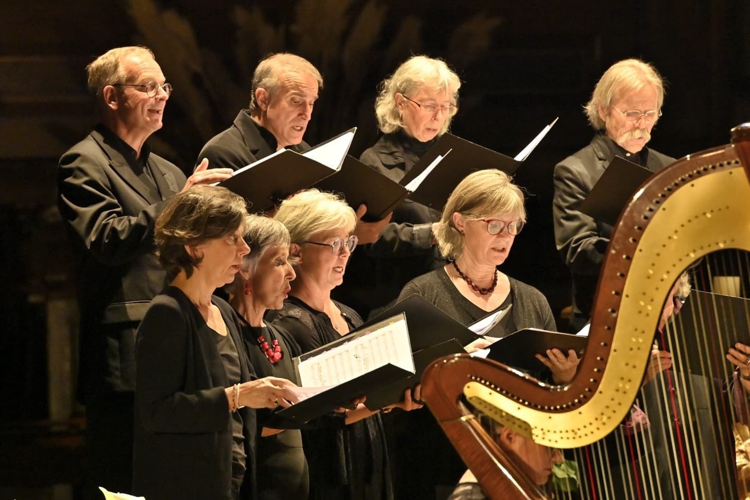 Concert des Voix d'Apamée