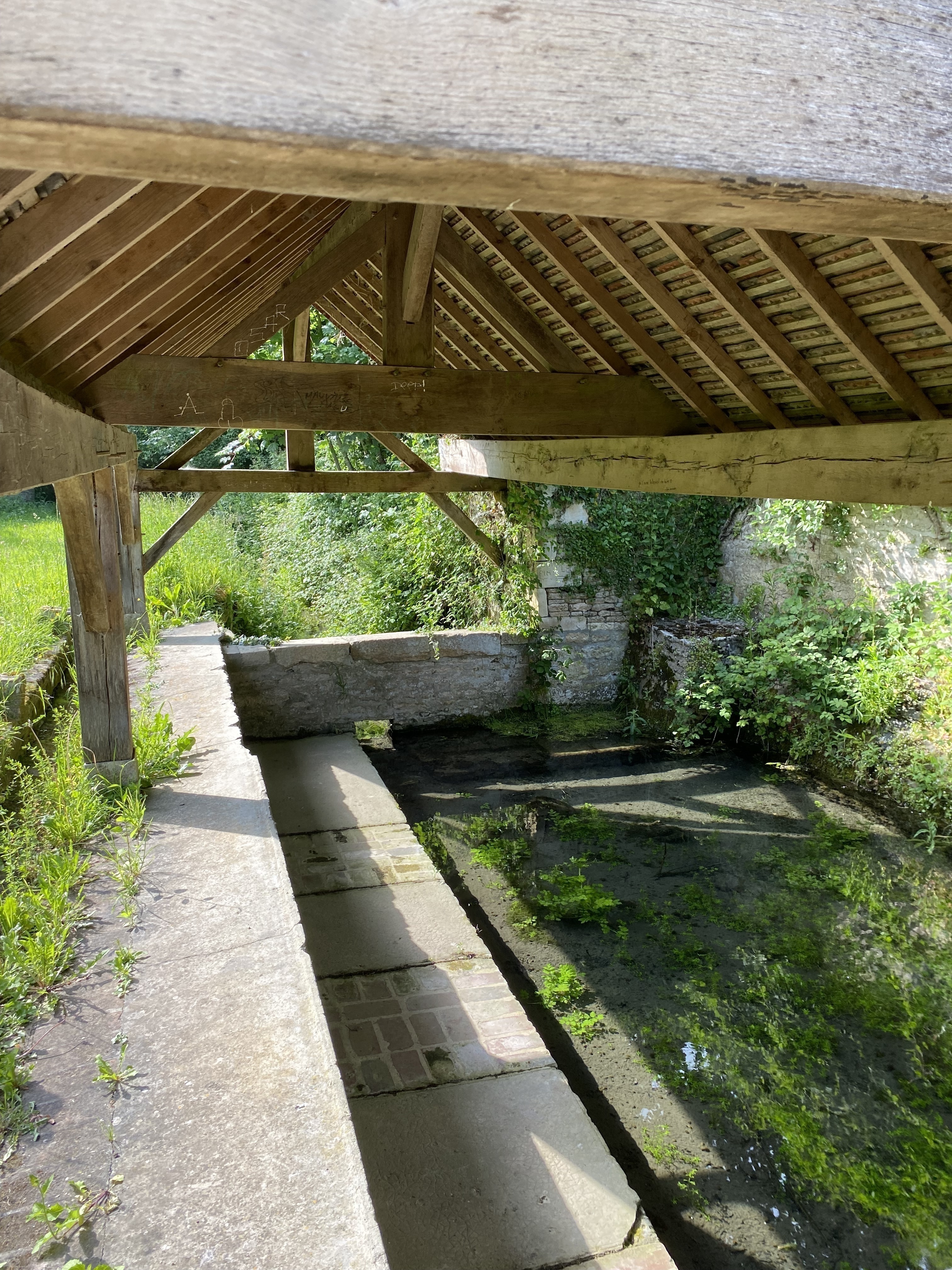 Visite libre de la fontaine