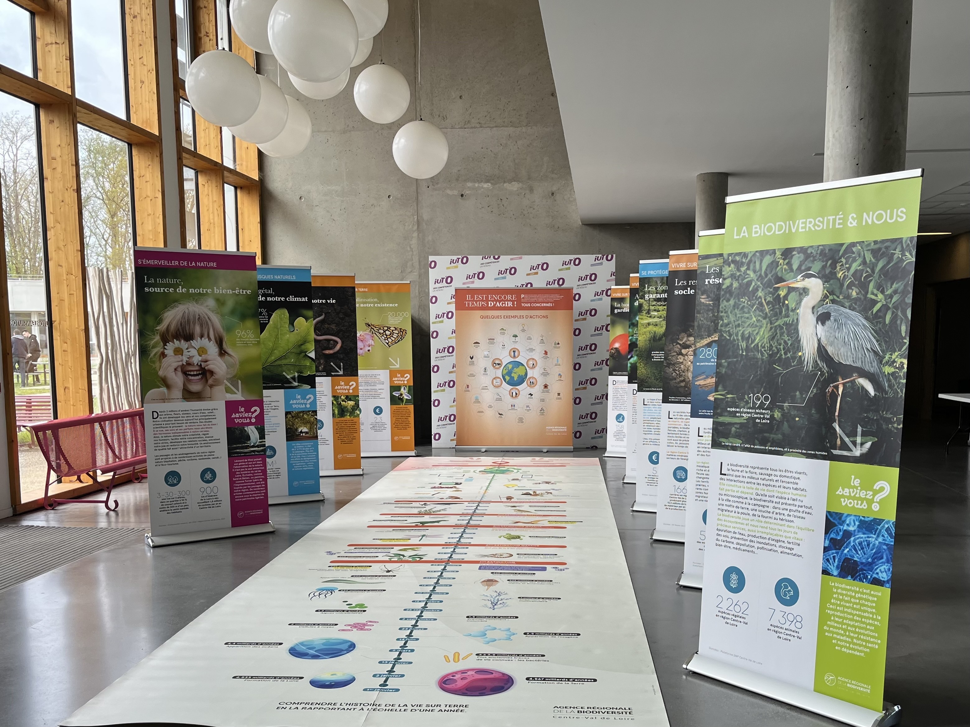 Exposition sur le patrimoine naturel à la Maison du Terroir et d'Animations de Beaulieu-sur-Loire