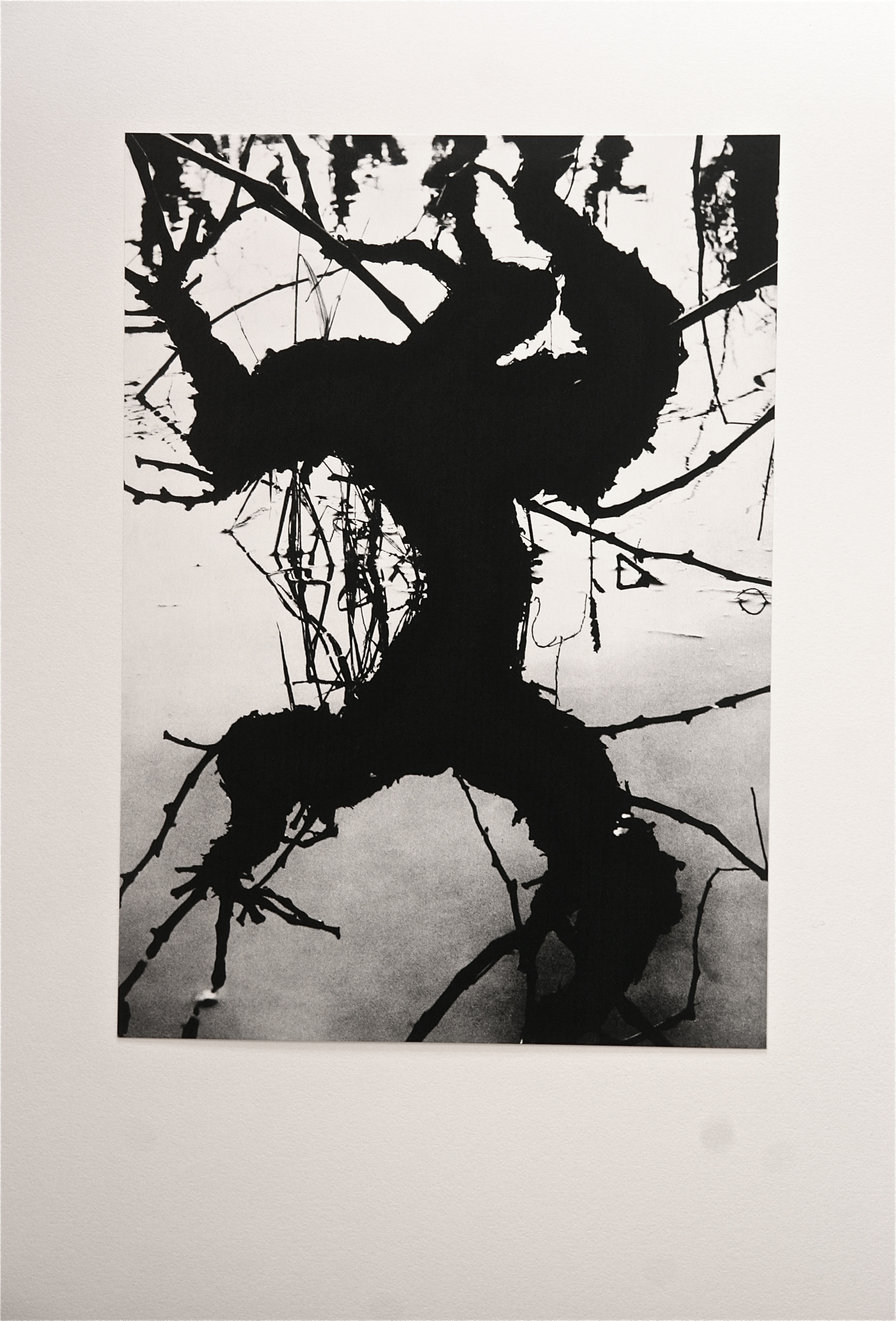 Exposition "La Camargue, un autre monde"