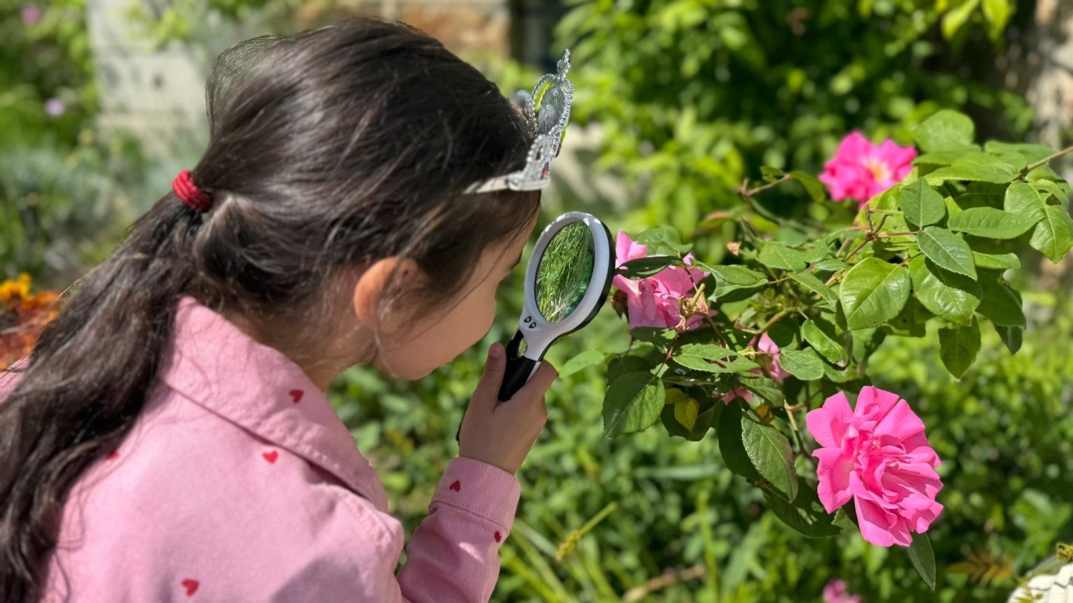 Jardin à la loupe